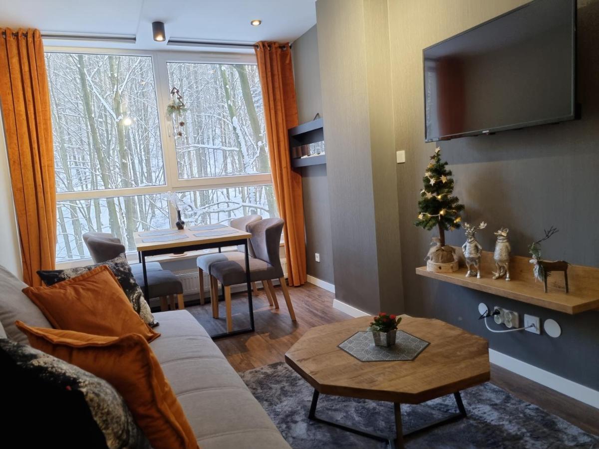 Apartament Resort Kozubnik Kiczora 10 - 5D Apartamenty Porąbka Zewnętrze zdjęcie